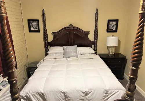 Comfortable and Quiet Condo in Perfect LSU/Downtown Area