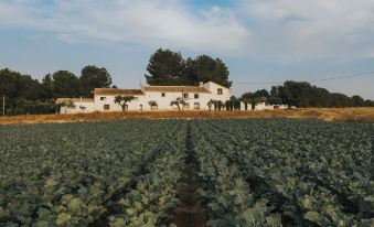 Hotel Casa Pedro Barrera