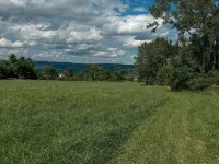 The Stead- A tiny home on an Alpaca farm in the beautiful Mohawk Valley. Hotels in Minden