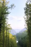 Gorgeous Mountain View 8 miles from Appalachian Trail