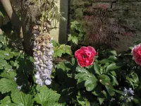 Hidden Well Hotel a Pilning