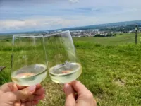 Accommodation kostera 1 OG Hotels in Babenhausen