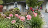 Open Floor Plan and Scenic Front Porch Views - Charming Retreat