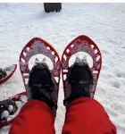 Carlotta whole apartment