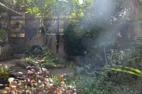 Cozy 1-bedroom apartment with a beautiful garden in Be'er Sheva with WiFi, AC