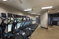 Embassy Suites by Hilton Dallas Frisco Hotel & Convention Center - gimnasio