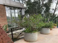 Marvelous view of the city