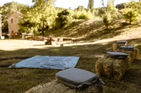 Le Radici - Olivo - Relax in Umbria, the heart of Italy