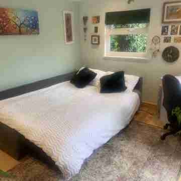 Cosy leafy cabin near city centre.  Free parking Rooms