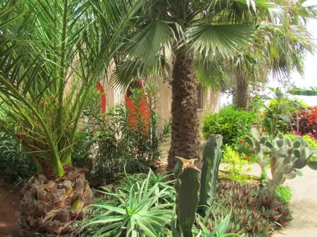 INDIVIDUAL VILLA FRONTDE SPLENDIDE VIEW ON THE OCEAN