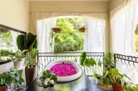Euphoria at Paradisiac Beach Club -  Holiday Villas