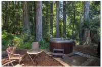 Private & Spacious  *Hot Tub* In the Redwoods