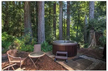 Private & Spacious  *Hot Tub* In the Redwoods