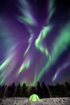 Central 1BR apartment (D14D) Hotel a Narvik
