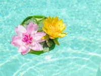 Can Toni - Villa With Private Pool In Sa Pobla