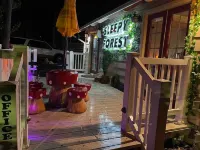 Sleepy Forest Cottages