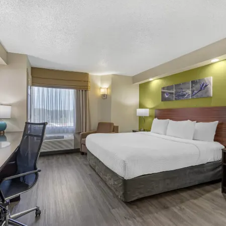 Sleep Inn Near Busch Gardens - USF