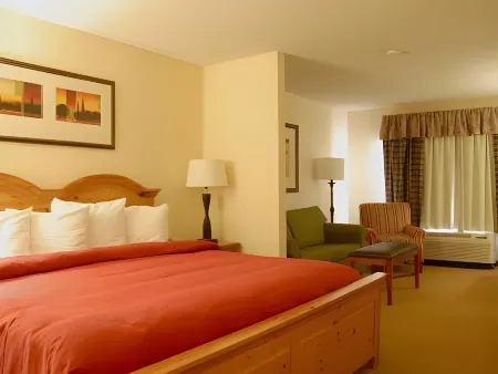 Baymont Inn & Suites by Wyndham Morrow/Atlanta I-75 South