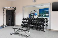 Hilton Garden Inn Cape Canaveral Near Cocoa Beach - Gym