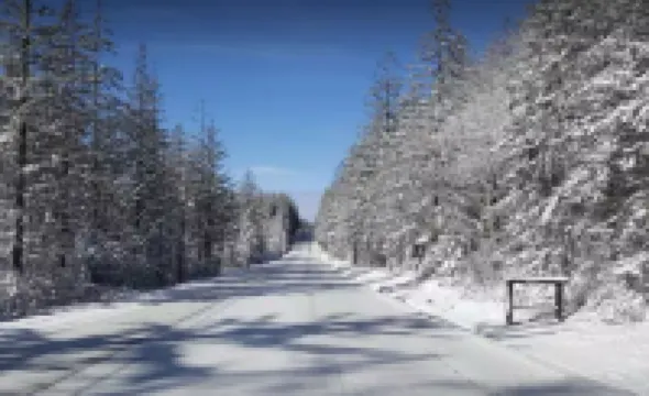 Cozy 2-bedroom cabin in the heart of Canaan Valley, with WiFi, AC, trails & pool