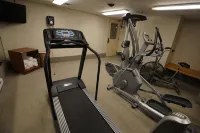 Monte Carlo Inn - Toronto Markham - Gym