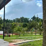 JUNGLE FARMS BY MAARK INN