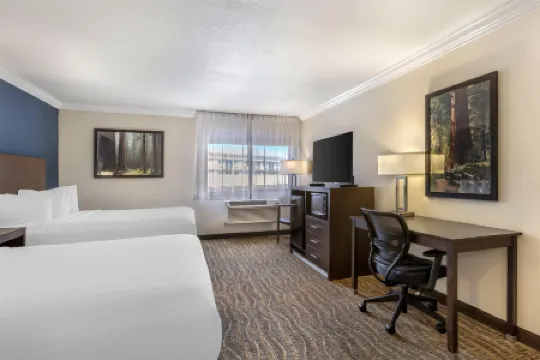 Best Western Town  Country Lodge