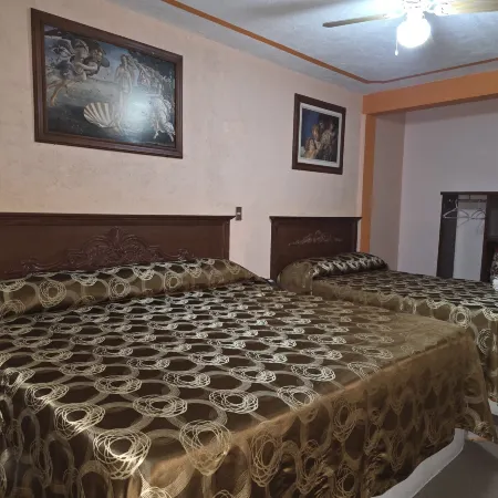 Hotel Villa de Las Flores