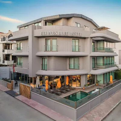 Echinus Blue Hotel Hotels near Eski Lara