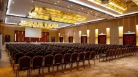Radisson Blu Hotel Niamey - Wifi