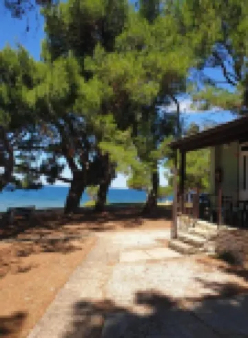 Family Bungalow Pineta