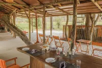 Khwai Mokoro Safaris and Campsites - Campgrounds