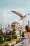 Radisson Residences Vadistanbul - con vista montagne