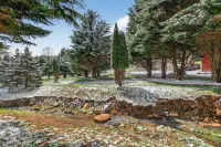 Peaceful Pines - 2br Getaway Near Blue Ridge 2 Bedroom Home