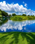 Beautiful bird sanctuary on the lake