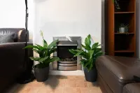 Full house 2 bedrooms, 2 bathrooms, near tube st - 3-Star