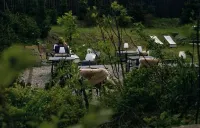 Slow Tatry Boutique Resort