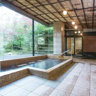 山×星×川の温泉宿 岩寿荘 恵那峡大橋展望台周辺のホテル