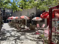 Mustard Hostel - Hostels