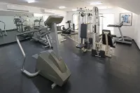 Holiday Inn MONCLOVA by IHG - Gym
