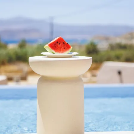 Melidron Hotel & Suites