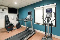 Holiday Inn Express RICHMOND AIRPORT by IHG - Gym