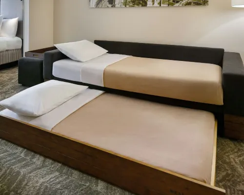 SpringHill Suites Charlotte University Research Park الغرف Photos