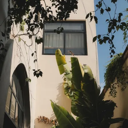 Casa Realm