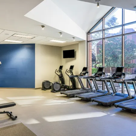 Hilton Richardson Dallas