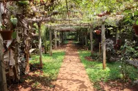 Jungle Book Resort Hotels in Kulem