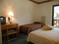 Hotel Vajolet Hotels in Mazzin