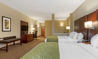 Comfort Suites Greenville South