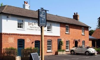 The Dog & Gun Inn