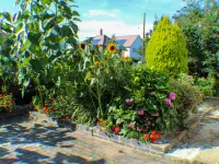 Goudhurst Hotels in 